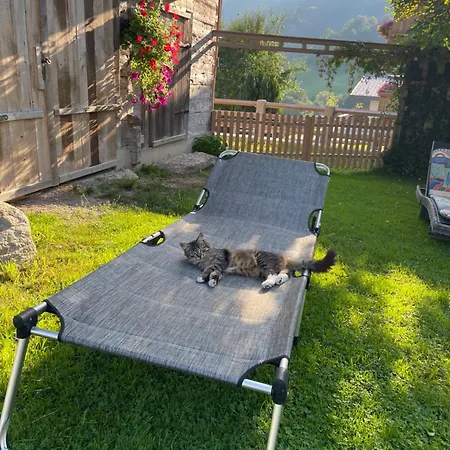 Haindlbauer Gospodarstwo agroturystyczne *