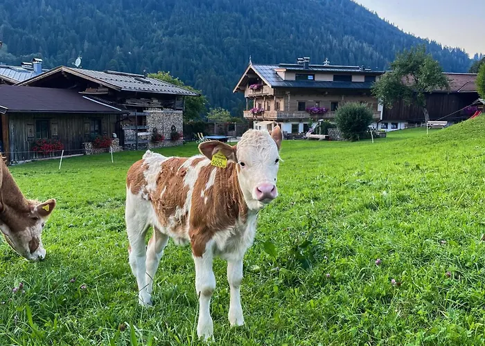 Haindlbauer * Kirchberg en Tyrol