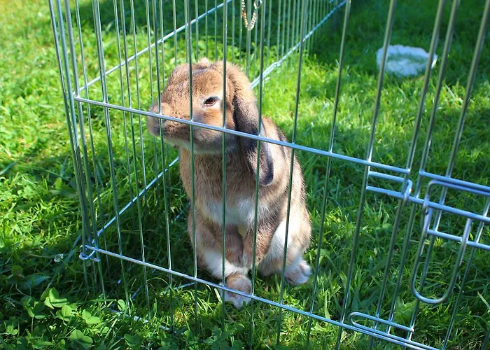 Séjour à la ferme Haindlbauer *