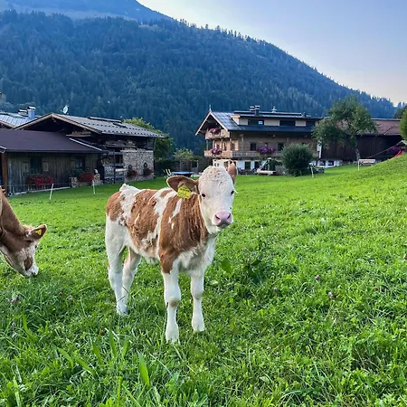 Haindlbauer * Kirchberg in Tirol